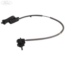 Original Ford Protektor